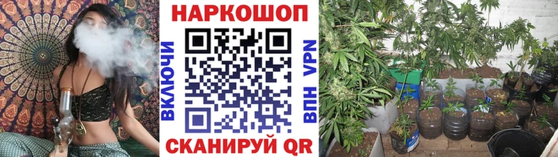Как найти закладки Серафимович Конопля  A PVP  Меф мяу мяу 