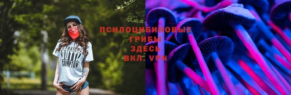 прущие грибы Армянск