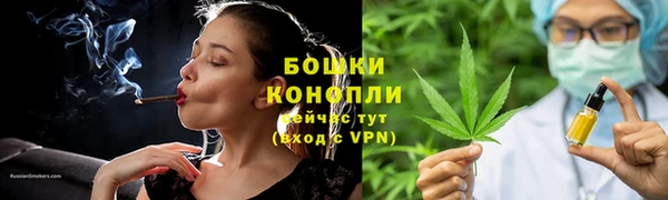 прущие грибы Армянск