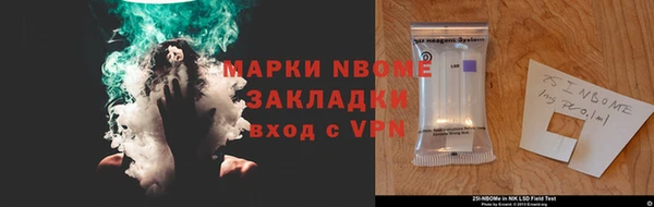 прущие грибы Армянск