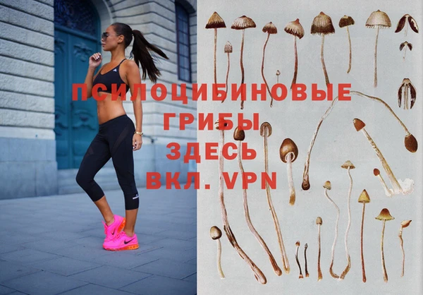 спайс Арсеньев