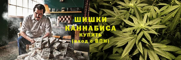 прущие грибы Армянск