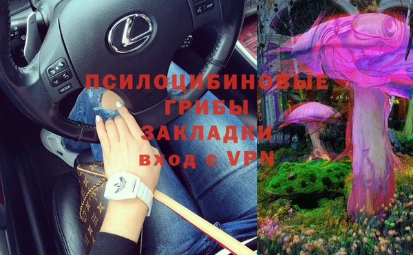 гидропоника Аркадак