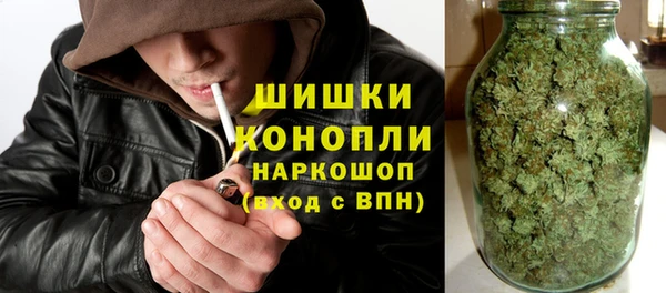 прущие грибы Армянск